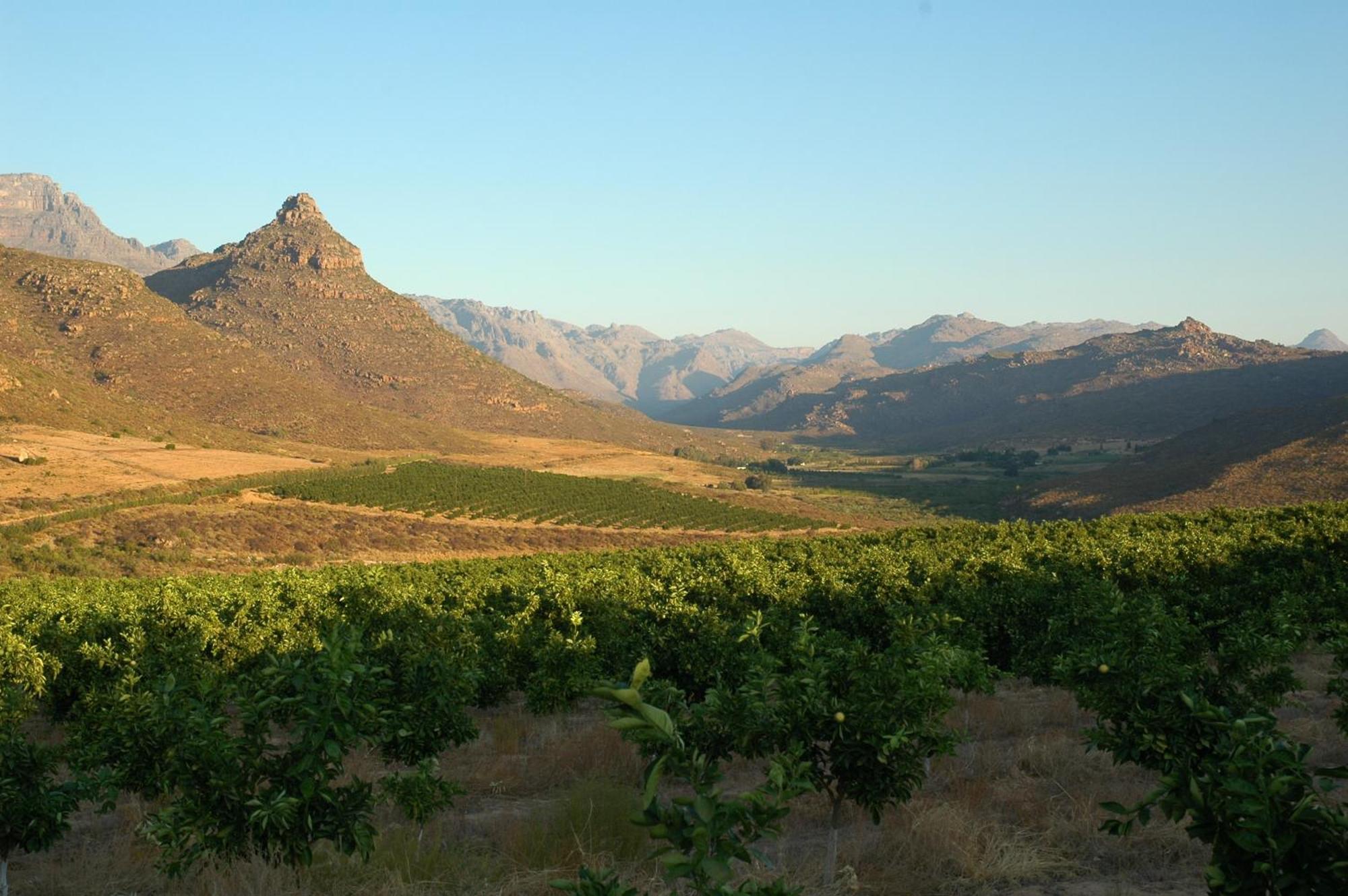 Klein Boschkloof Villa แคลนวิลเลียม ภายนอก รูปภาพ