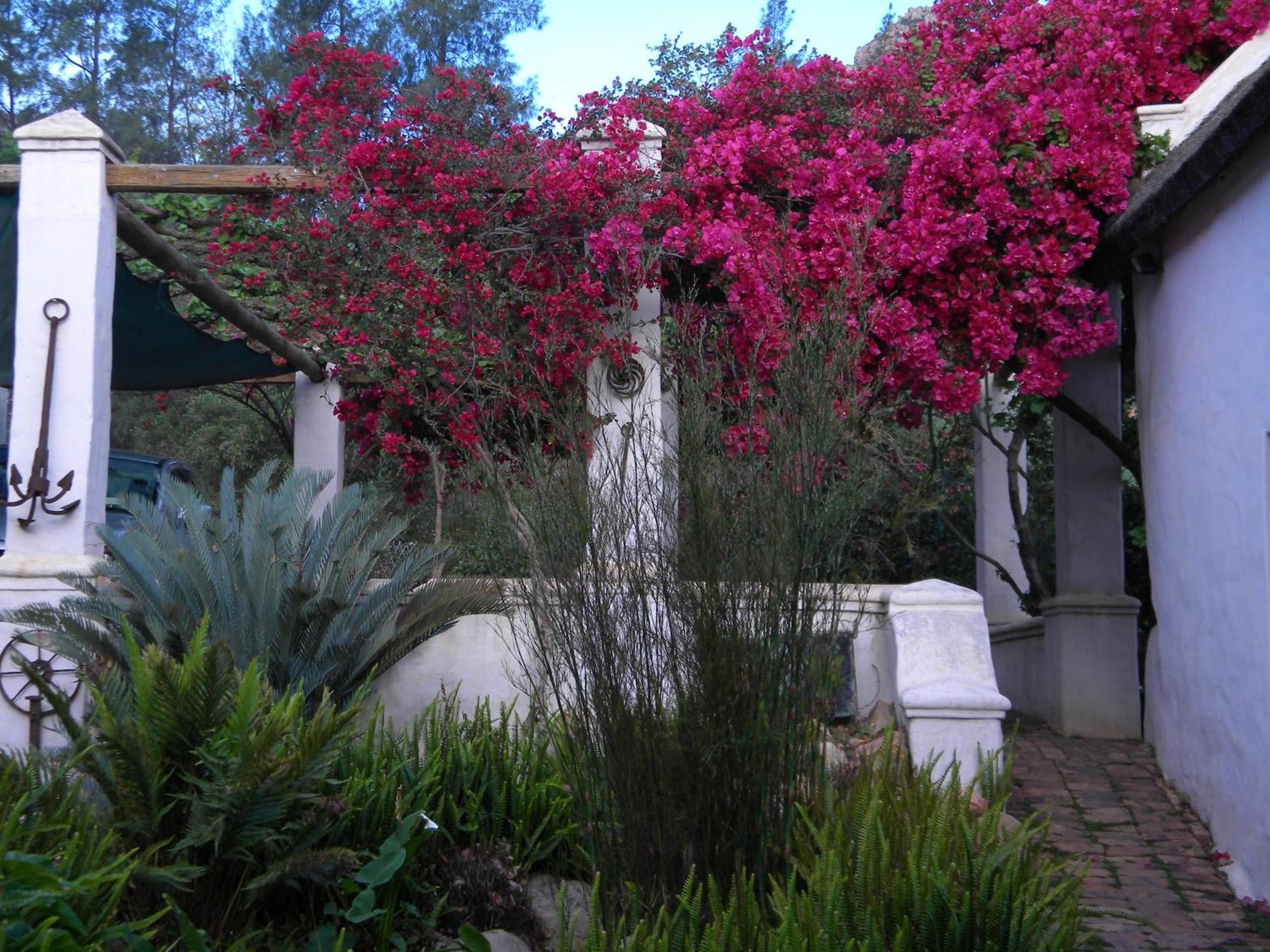 Klein Boschkloof Villa แคลนวิลเลียม ภายนอก รูปภาพ